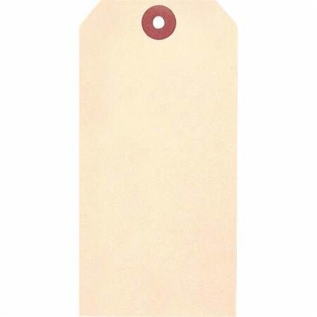 Accuform Blank Tag, 258 in Width, 514 in Height, 13 PT Cardstock, Manila, 316 in Hole TBB127P